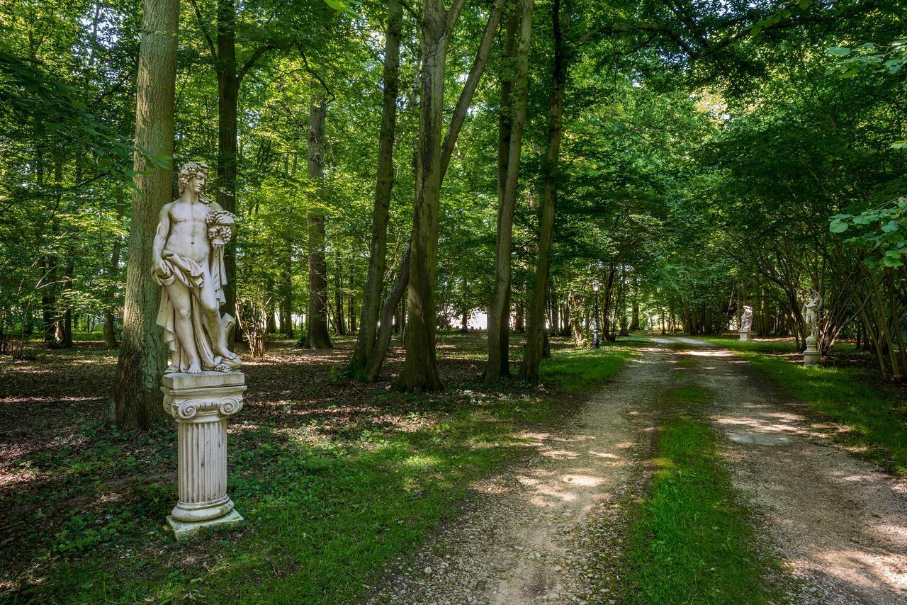 Domaine Du Bois Des Anges Bed and Breakfast Germigny-l'Eveque Buitenkant foto